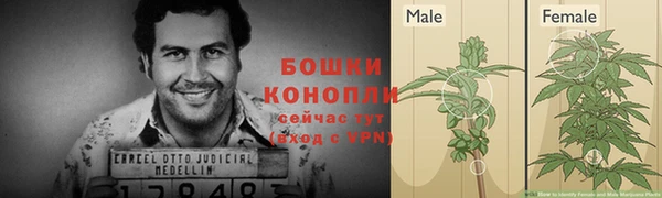 прущая мука Рославль